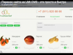 Перенос сайта на UMI.CMS 