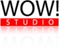 WOW! Studio - создание и разработка сайтов в Донецке: Веб-студия