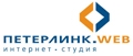 Петерлинк.Web - создание и разработка сайтов в Санкт-Петербурге: Веб-студия