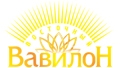 Восточный Вавилон - создание и разработка сайтов в Владивостоке: Веб-студия