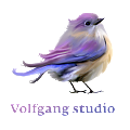 Volfgang studio