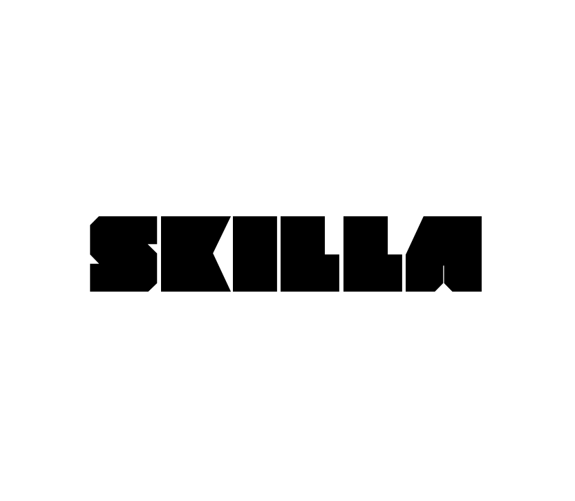 Студия SKILLA